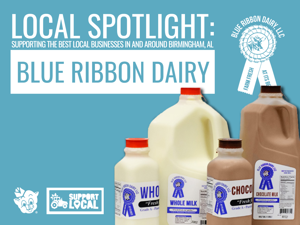 Graphic with the title "Local Spotlight: Blue Ribbon Dairy" featuring bottles of Blue Ribbon Dairy Whole Milk and Chocolate Milk. Includes logos for Blue Ribbon Dairy and Piggly Wiggly's "Support Local" campaign.