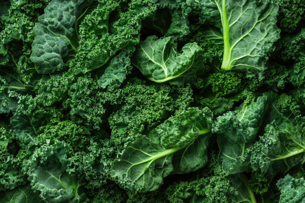 A close-up of fresh organic kale leaves with deep green color and curly texture.
