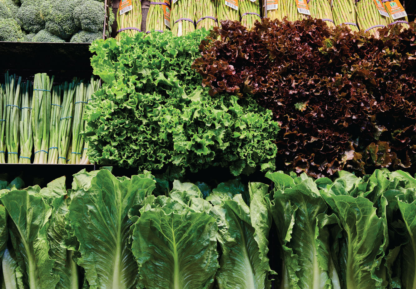 Display of fresh leafy greens including romaine, green leaf, red leaf lettuce, asparagus, scallions, and broccoli at Piggly Wiggly produce section