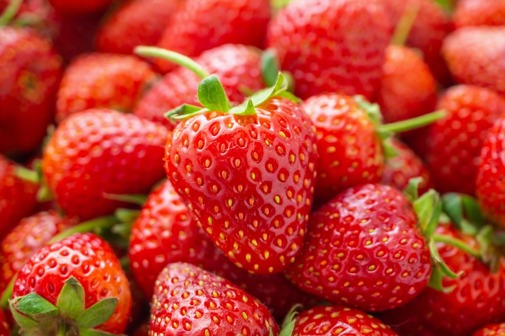 Close-up of ripe, red strawberries with green stems, highlighting their glossy texture and freshness