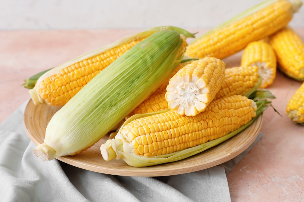 Whole ears of fresh sweet corn, some husked and some partially husked, arranged on a wooden plate