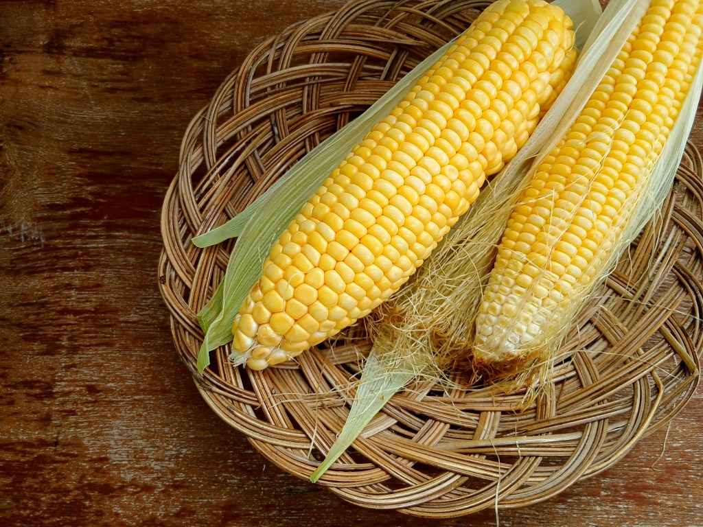 Two ears of fresh Alabama sweet corn with husks partially removed, resting on a woven basket surface