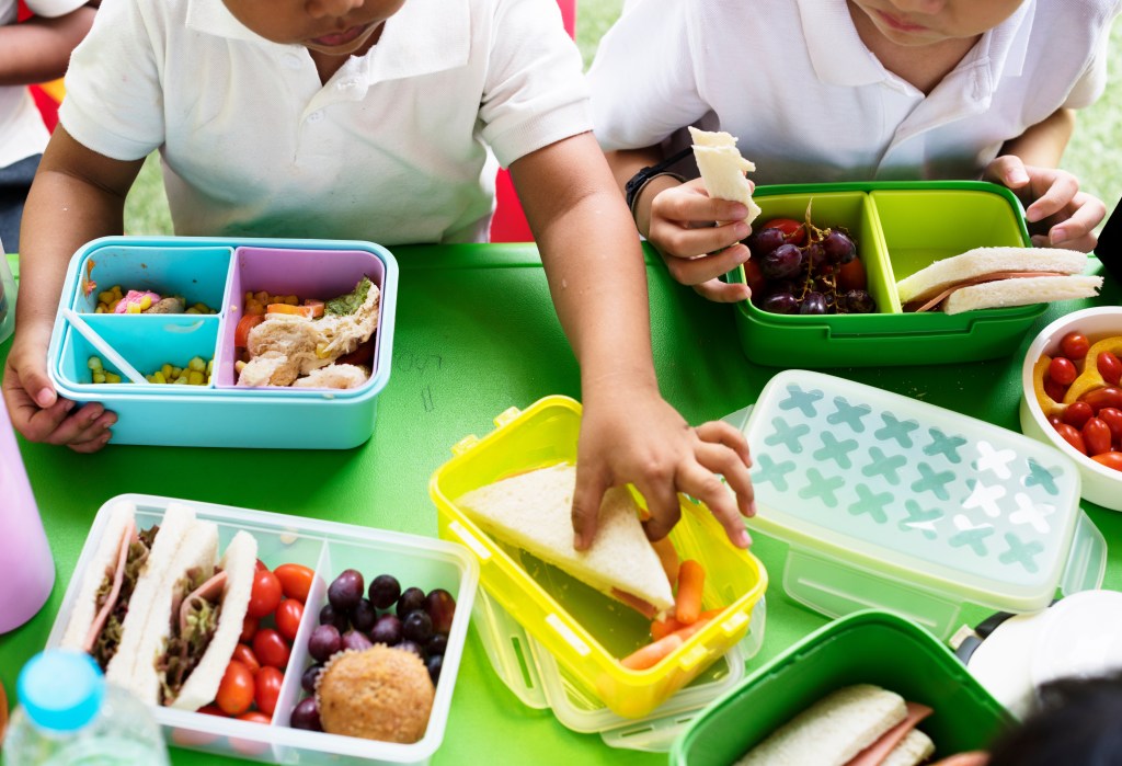Children eating packed summer lunches with sandwiches, grapes, tomatoes, carrots, and healthy snacks at an outdoor table