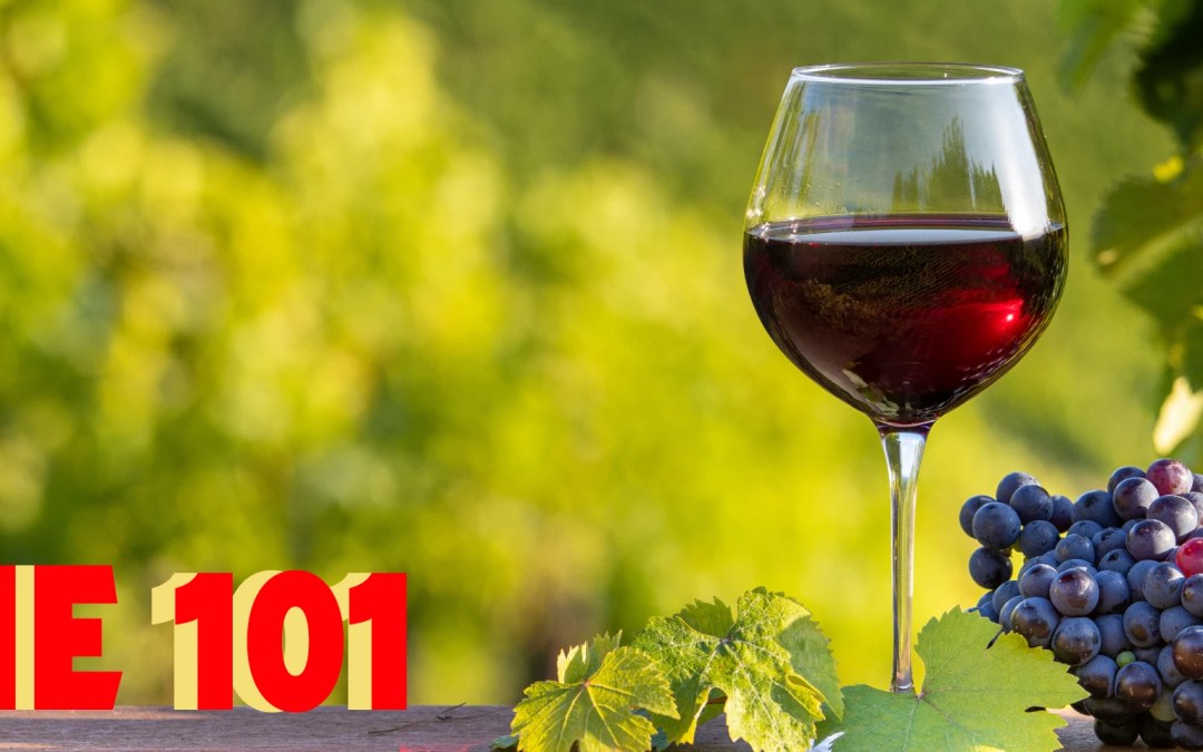 Wine 101: Varietals, Without the Snobbery